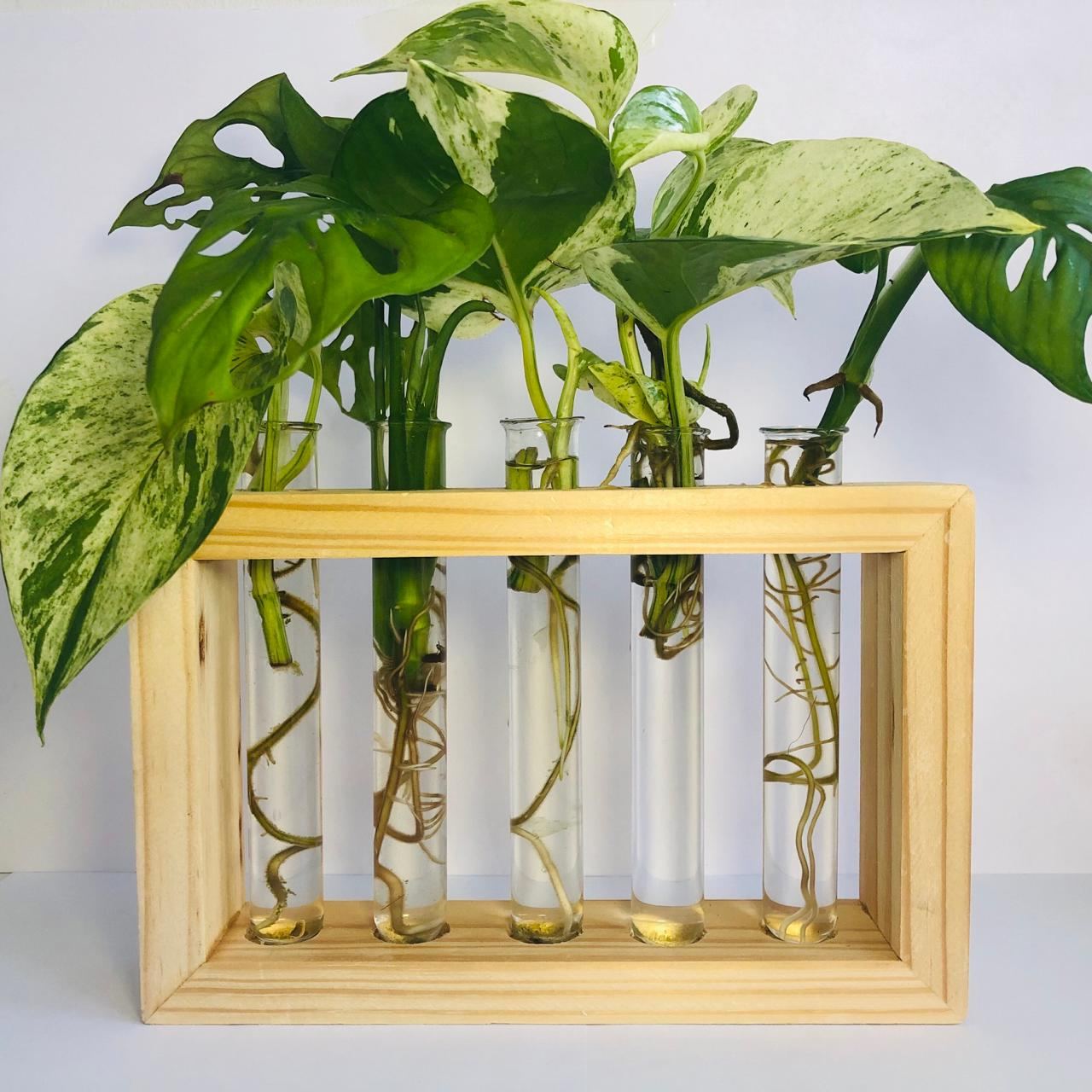 Propagation station with cuttings